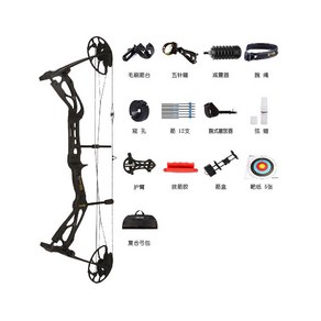 SPG X8 컴파운드 보우 국궁 양궁 각궁 전문가용 휴대용 입문자용, 블랙 올인원세트, 1개