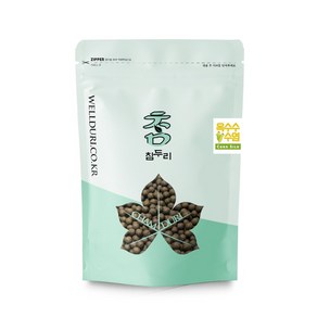 참두리 옥수수수염환, 500g, 1개