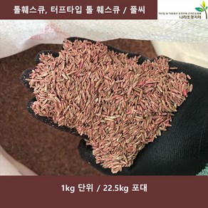 톨훼스큐 1kg 20kg 터프타입톨훼스큐 김의털 양잔디풀씨 풀씨, 1개