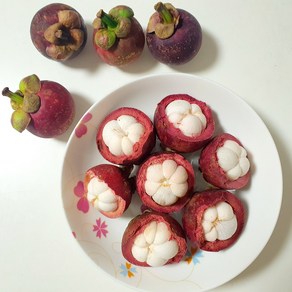 [감각적 비주얼] 달콤한 맛이 일품인 태국산 망고스틴, 500g, 1개