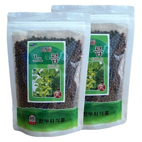 금산한누리식품 느릅환 느릅나무환 600g (300g+300g) (지퍼백), 2개, 300g