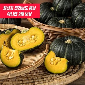 열매농장 해남 직송 미니밤호박 2kg 1개