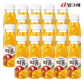 빙그레 따옴 애플망고주스 235ml, 20개