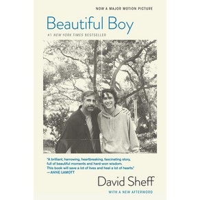 Beautiful Boy (Tie-In): A Father's Journey Through His Son's Addiction Paperback