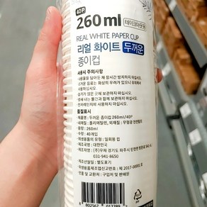 코디마트 일회용 무지 테이크아웃 종이컵 20온스 600ml, 1개, 40개입