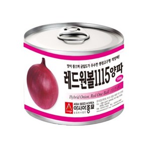 아시아종묘 씨앗 적양파 레드원볼1115 2.5g, 1개