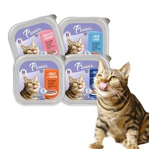 플레이저 고양이 습식사료 [파테타입] 4종 [100g * 4개입], 새우 [100g * 4개입], 100g, 4개