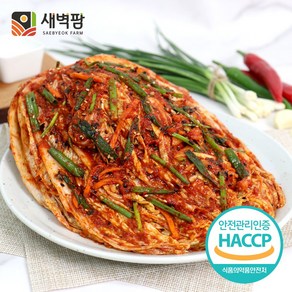 새벽팜 보쌈김치 국내산 100% 전라도김치 당일제조 참매실 새벽김치, 3kg, 1개