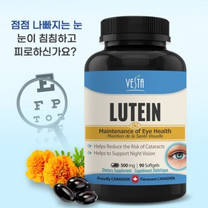 [캐나다본사 빠른직구] 베스타 루테인 눈영양제 500mg x 90정 침침한 뻑뻑한 눈케어 시력보호 황반변성예방 항산화 눈노화예방 헤마토코쿠스 아스타잔틴함유, 1개