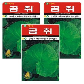 곰취 씨앗 나물 씨 종자, 3개