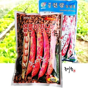 대포장 비넝쿨 종자 비덩굴 얼룩이l 건강 강낭콩 씨앗 500g, 1. 얼룩이 강낭콩 600g (비덩굴), 1개