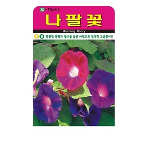 SN월드 씨앗 고급꽃씨 꽃씨앗, 고급 - 나팔꽃(150립)