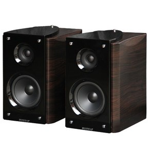 Focal 165AS 고출력 스피커 하이파이 패시브 북쉘프 오디오 모니터 레벨 홈 데스크탑 DIY 발열 앰프 150W, 01 A Pai, 1개