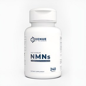 리뉴바이사이언스 NMN NMNs 엔엠엔 240캡슐 125mg, 1개, 240정