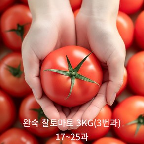 [신선보장] 아침에 따서 그날 보내는 완숙토마토, 3번과, 3개, 3kg