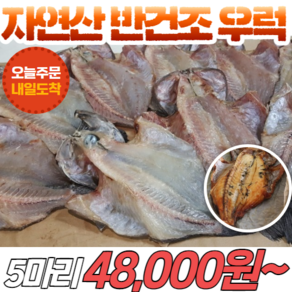 경영푸드 국내산 자연산 반건조 우럭, 3마리(200g~290g 내외*3), 3개