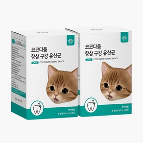 코코다움 고양이 구강케어 입냄새 잇몸 영양파우더 항상 구강 유산균, 2개, 구강/치석관리