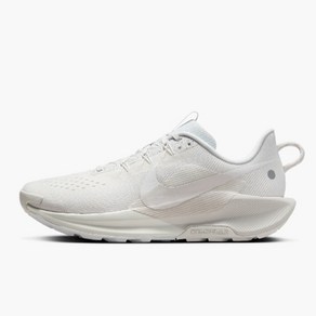 국내매장판 - 나이키 운동화 페가수스 트레일 5 남성 NIKE 런닝화 DV3864-101