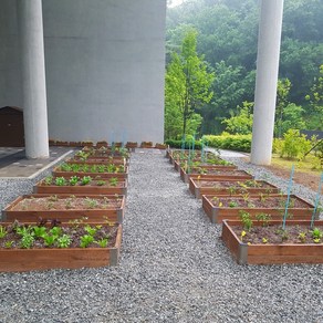 우리애그린 누구든 노지형 틀텃밭상자 방부목화분 옥상텃밭 학교텃밭, 1개