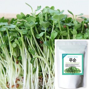 세경팜 새싹씨앗_무순 1kg, 1개