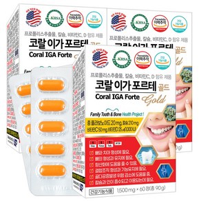 미국 코랄 이가 포르테 골드 60정X3개 치아칼슘 프로폴리스 옥수수수염추출물 리소짐, 90g, 3박스