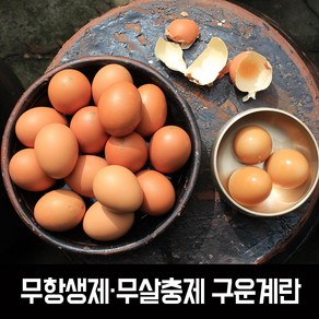 HACCP인증 무살충제 구운계란 30구 1판, 1개