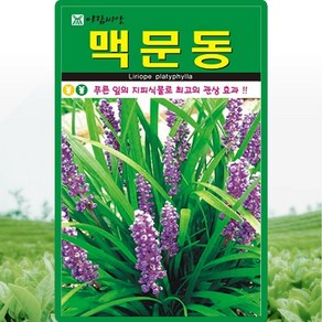 아람종묘 맥문동 씨앗 100립 재래종 맥문동 꽃씨 약초 종자, 1개