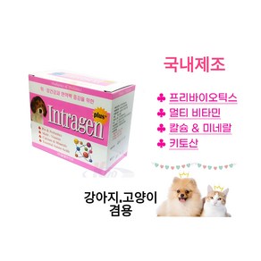 냥냥이 인트라젠 고양이.강아지겸용 플러스(plus+) 스틱 [2gx30p], 1개, 장건강/유산균, 30정