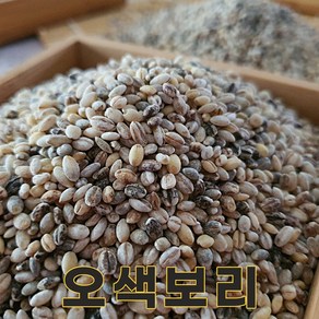 밥보야 24년산 국산 오색보리 1kg 오색보리쌀, 1개