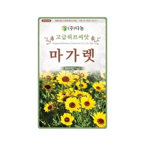 (DN) 마가렛(마그리트)금황 씨앗(1g), 1개