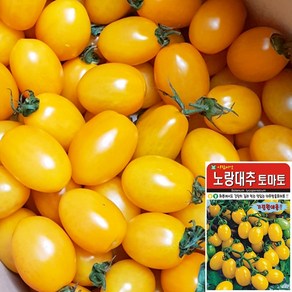 세경팜 노랑 대추 방울토마토 씨앗 30립, 2개