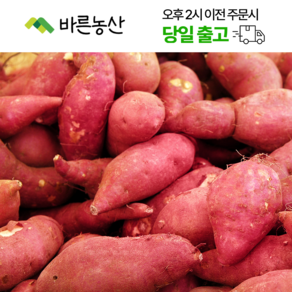 < 바른농산 > 무안 황토 꿀고구마 못난이, 1개, 10kg