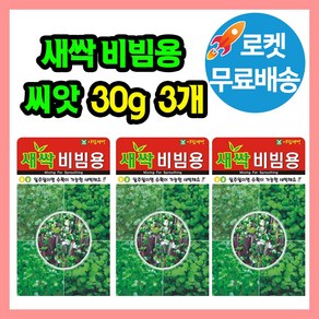 새싹비빔용 씨앗 (합 90g) 새싹씨앗 비빔용새싹, 3개