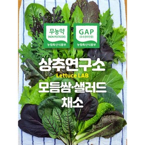 상추연구소 무농약 GAP 모듬 쌈 샐러드 채소(12종 내외) 1kg