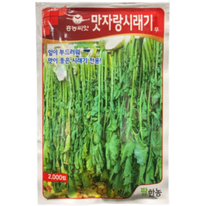 시래기무 씨앗 종자 맛자랑시래기무 2000립