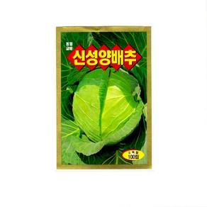 모칸도 동원종묘 신성양배추 100립, 1개