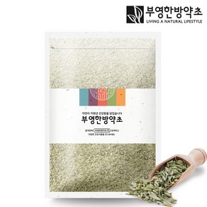 부영한방약초 펜넬 산미나리씨앗 1kg