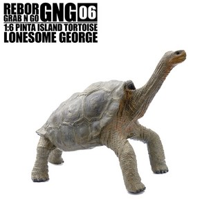 리보 REBOR GNG06. 핀타섬 땅거북 '외로운 조지' LONESOME GEORGE / 공룡 동물 피규어 모형, 1개