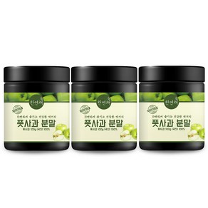 천연채 국산100% 풋사과 분말 가루 100g x 3통 (300g), 3개