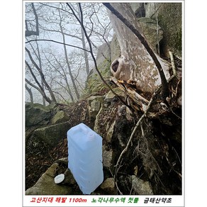 노각나무수액 (순수원액) 4 5리터/보관편리, 3개, 1.5L