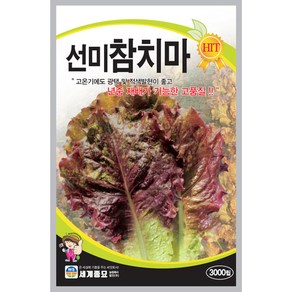 선미참치마 3000립(여름용)/세계종묘 상추씨앗, 1개