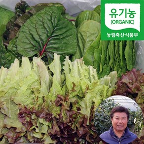 충주 유기농 모듬 쌈채소 샐러드채소 쌈야채, 1박스, 1kg