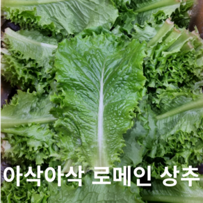 길룡이네 로메인 상추 2kg 4kg 국내산, 1개