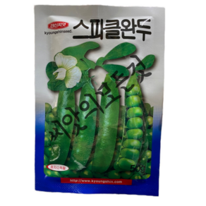 스파클 완두콩 씨앗50g 보리콩 애콩 조생종완두 경신종묘 빠른배송, 1개