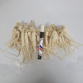 금산인삼 수삼 파삼 무료세척 1채 750g, 750g(무료고압세척, 약50g감량), 1개