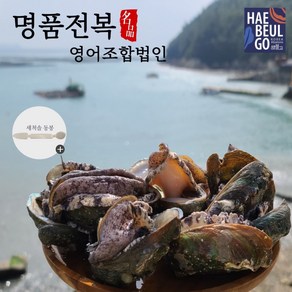 완도 명품 활전복 특대 8-9미 1KG [손질솔 증정], 1개