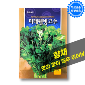 고수씨앗 3g 허브씨앗 고수키우기 고수씨 CORIANDER 코리앤더 씨앗, 1개