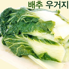 배추시래기 삶은 배추 우거지 나물, 1kg, 1개