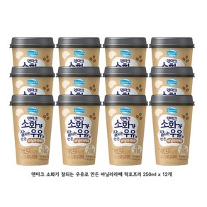 골든싸이]동원_소화가 잘되는 우유로 만든 바닐라라떼 250ml 12개