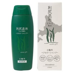 일본직발송 6. 일본 메디코 리 시리 다시마 헤어 컬러 샴푸 250ML (블랙) B092R89LFF, 1개